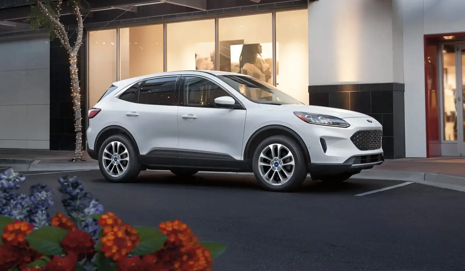 Diseño Robusto y Funcional